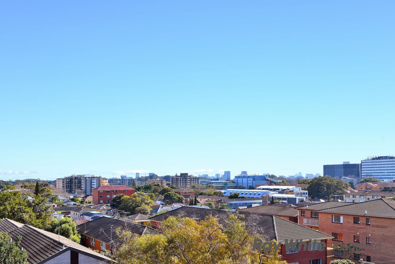 48 Willis Street, Kingsford NSW 2032, Kingsford - Thumbnail 5