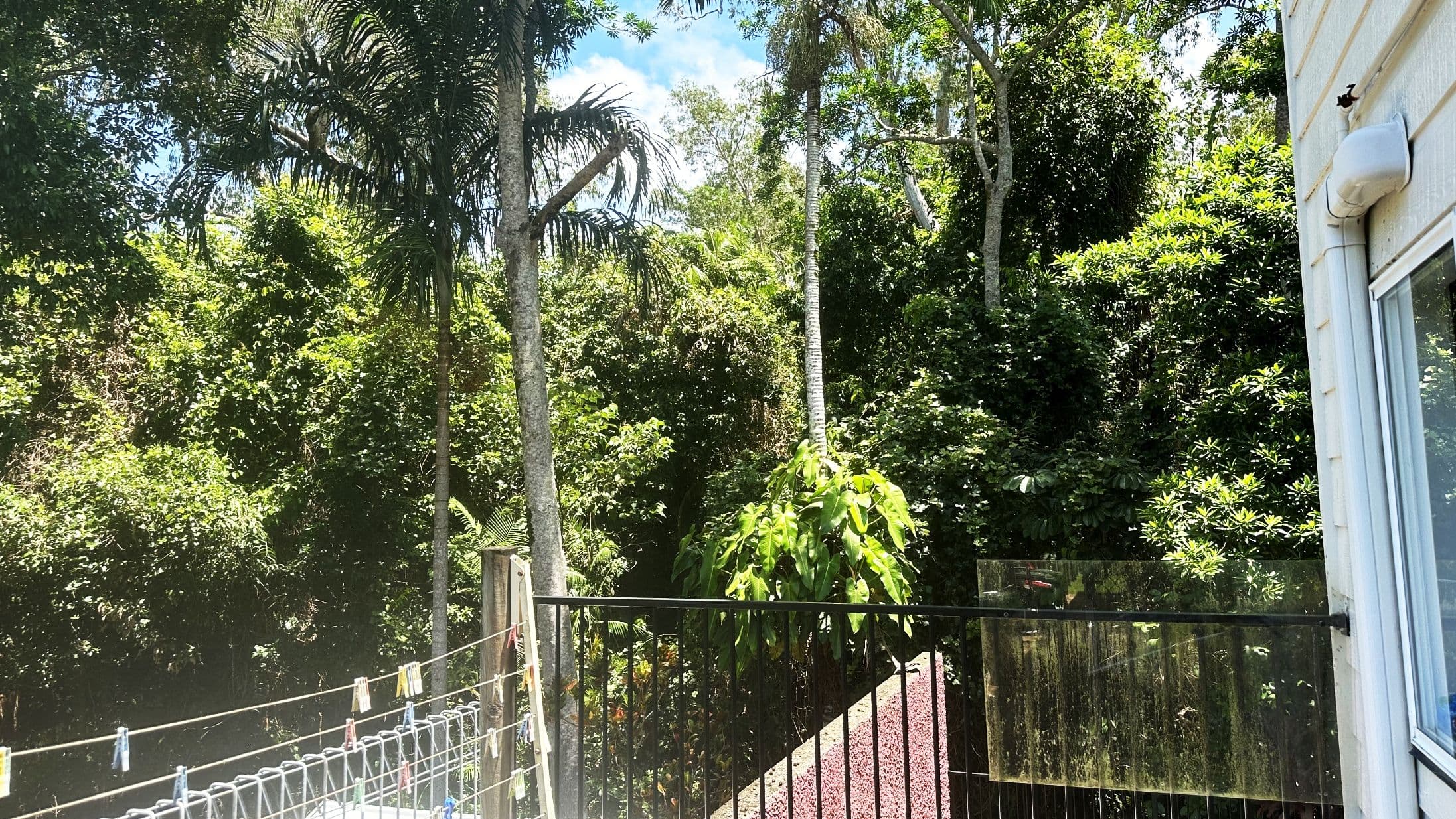 55 Reid Road, Wongaling Beach QLD 4852, Wongaling Beach - Thumbnail 4