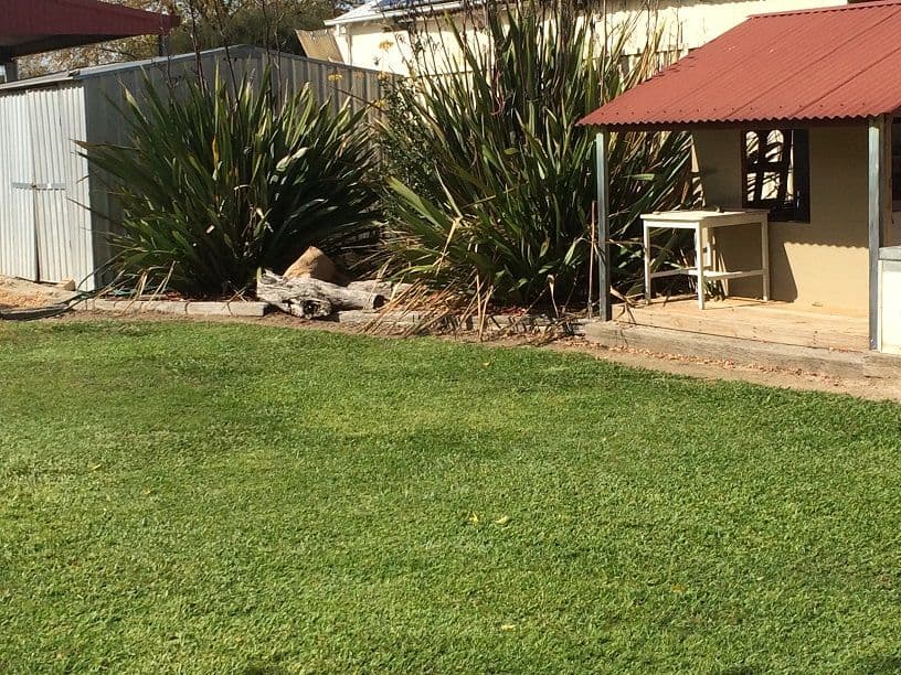 13 Grove Street, SPRING HILL NSW 2800, Spring Hill - Thumbnail 5