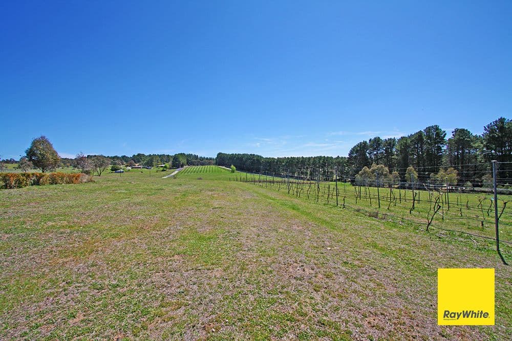 88 Brooks Road, Bywong NSW 2621, Bywong - Thumbnail 3