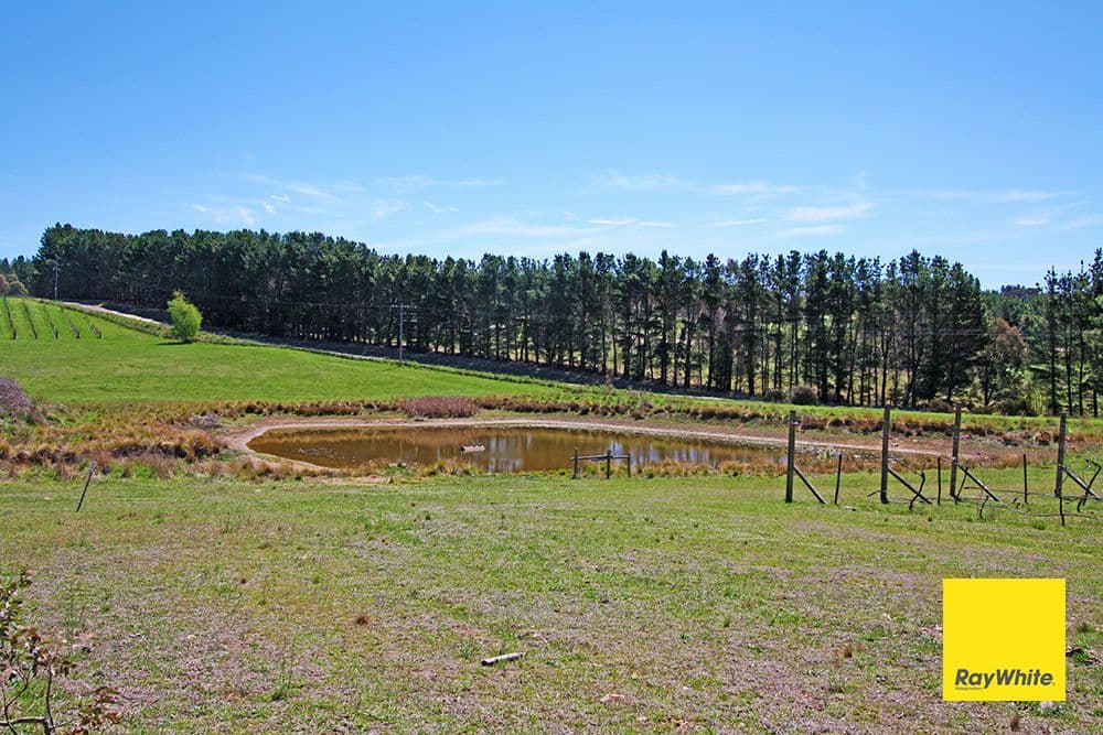 88 Brooks Road, Bywong NSW 2621, Bywong - Thumbnail 4