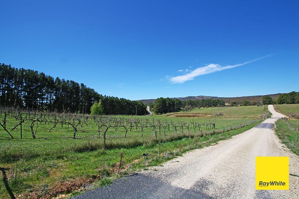 88 Brooks Road, Bywong NSW 2621, Bywong - Thumbnail 8