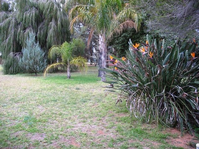 Sec 418 Cant Road, BARMERA SA 5345, Barmera - Thumbnail 7