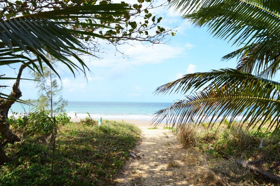 39 Reid Road, Wongaling Beach QLD 4852, Wongaling Beach - Thumbnail 3