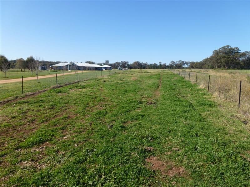 126 Torryburn Way, DUBBO NSW 2830, Dubbo - Thumbnail 2