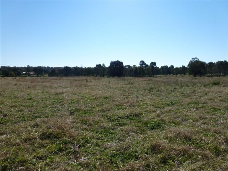 126 Torryburn Way, DUBBO NSW 2830, Dubbo - Thumbnail 4