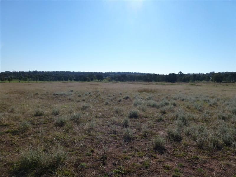 126 Torryburn Way, DUBBO NSW 2830, Dubbo - Thumbnail 5