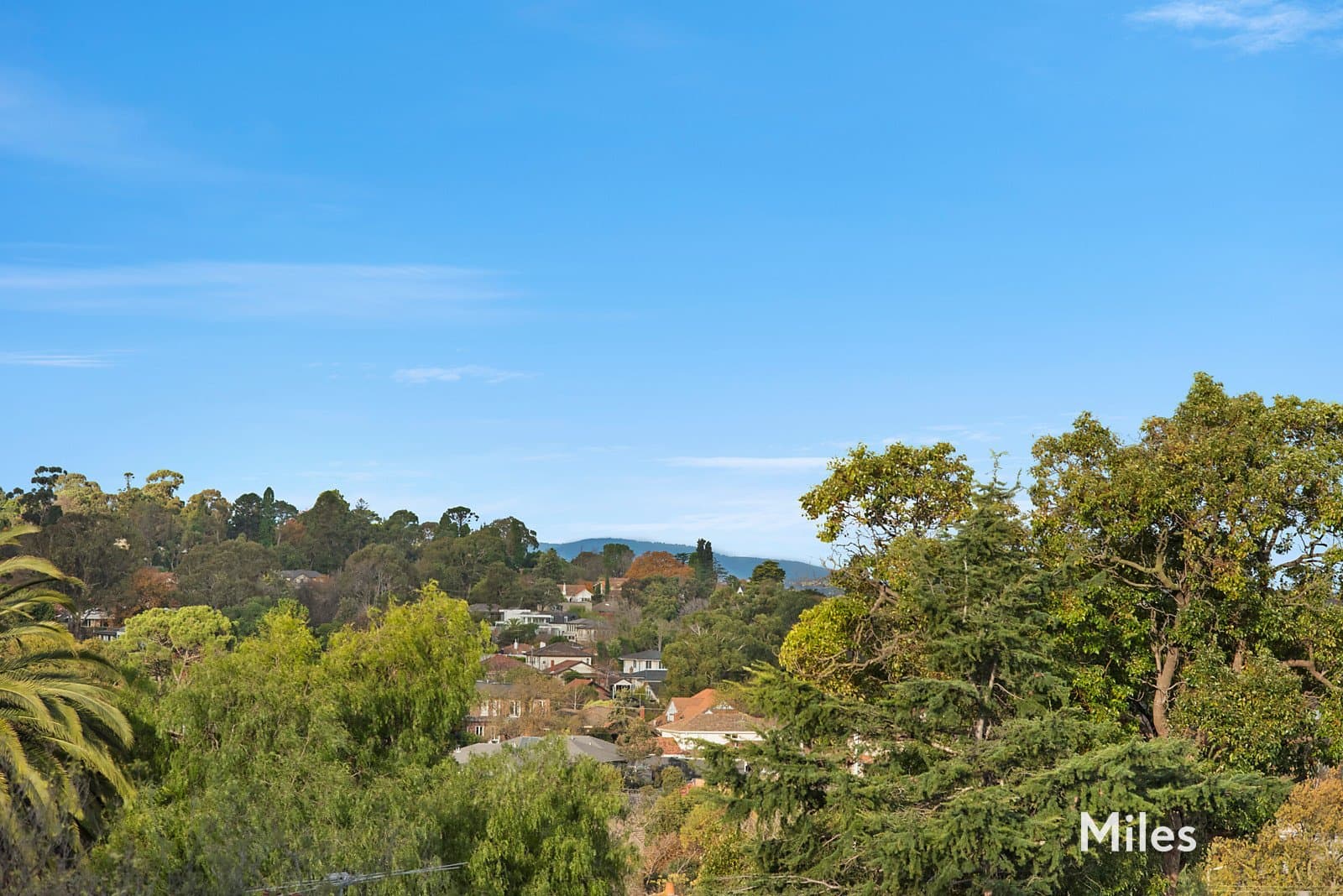 11/6 Studley Road, Ivanhoe, Ivanhoe - Thumbnail 5