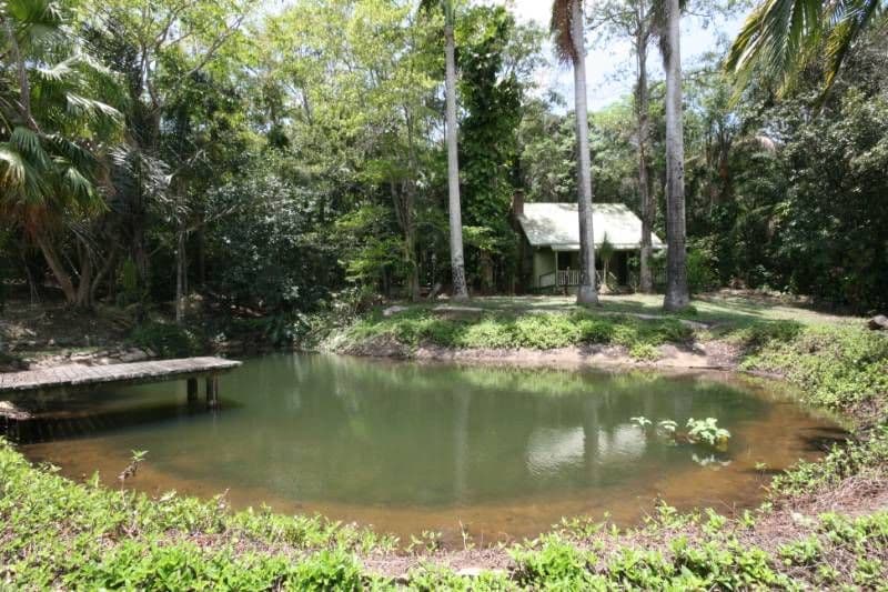 Lot 2 Webster Road, Sarina QLD 4737, Sarina - Image 1