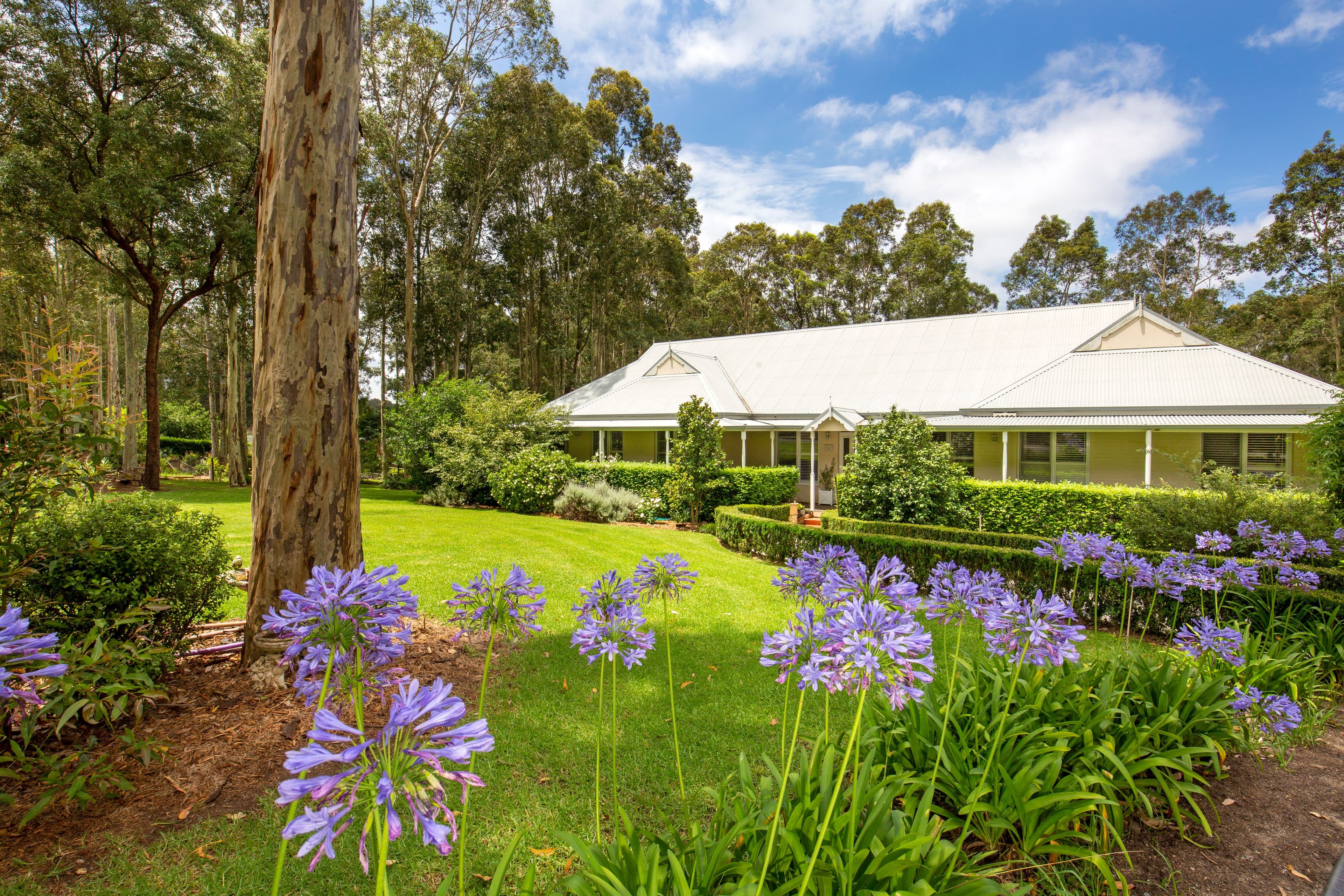 32 Koloona Drive, Tapitallee NSW 2540, Tapitallee - Thumbnail 2