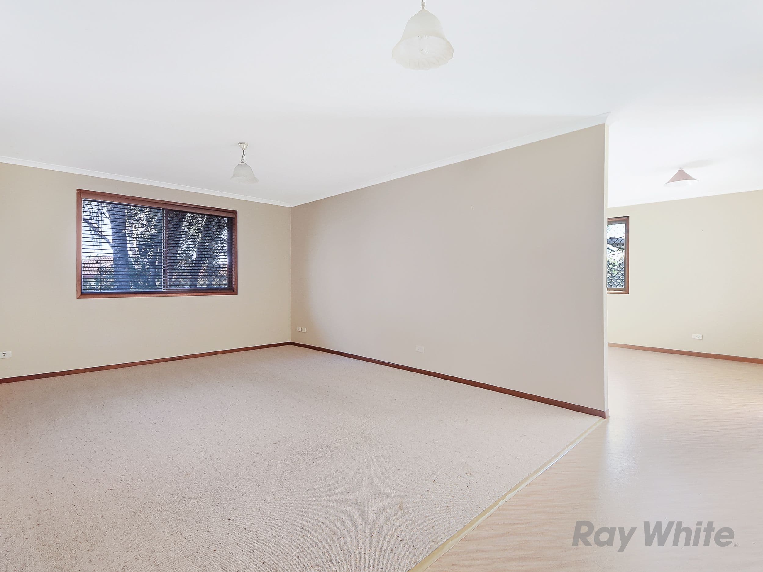 20 Rosa Crescent, Bracken Ridge QLD 4017, Bracken Ridge - Thumbnail 7
