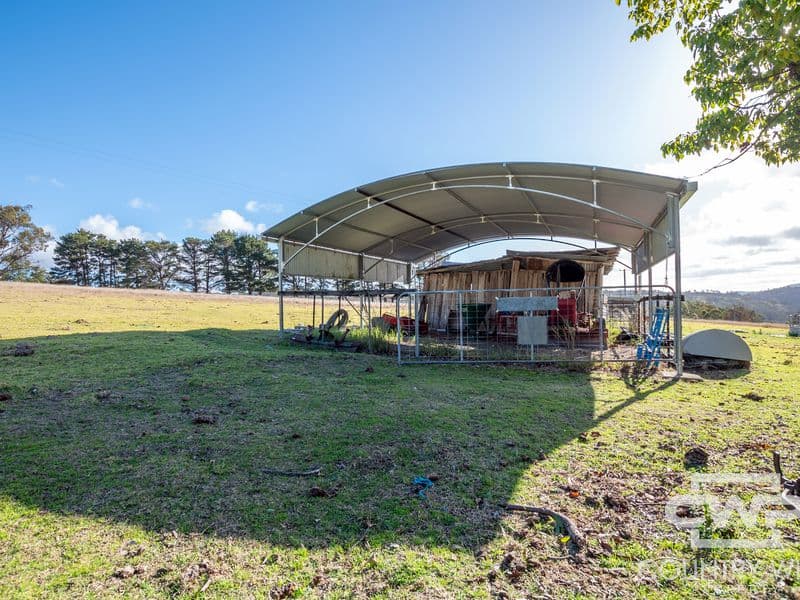 13 Bluff River Road, Tenterfield, Tenterfield - Thumbnail 7