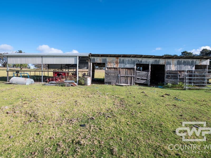 13 Bluff River Road, Tenterfield, Tenterfield - Thumbnail 8
