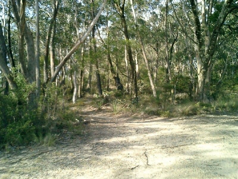 125 Rowans Road, Moorabbin, VIC, 3189, Moorabbin - Thumbnail 2