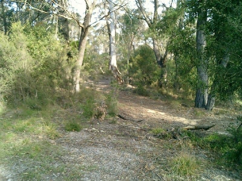 125 Rowans Road, Moorabbin, VIC, 3189, Moorabbin - Thumbnail 3