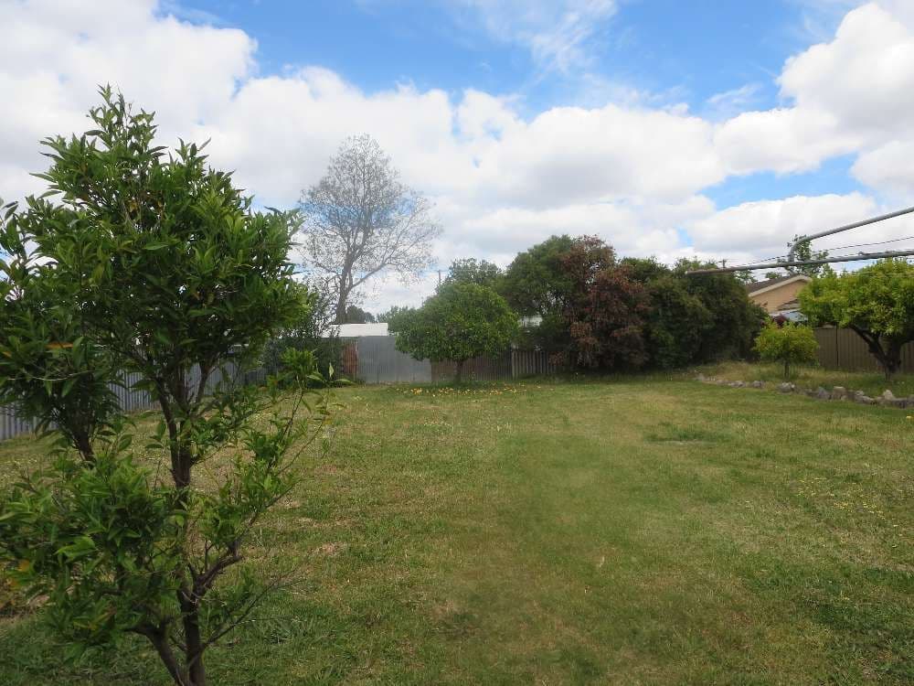 397 Parnall Street, LAVINGTON NSW 2641, Lavington - Thumbnail 4
