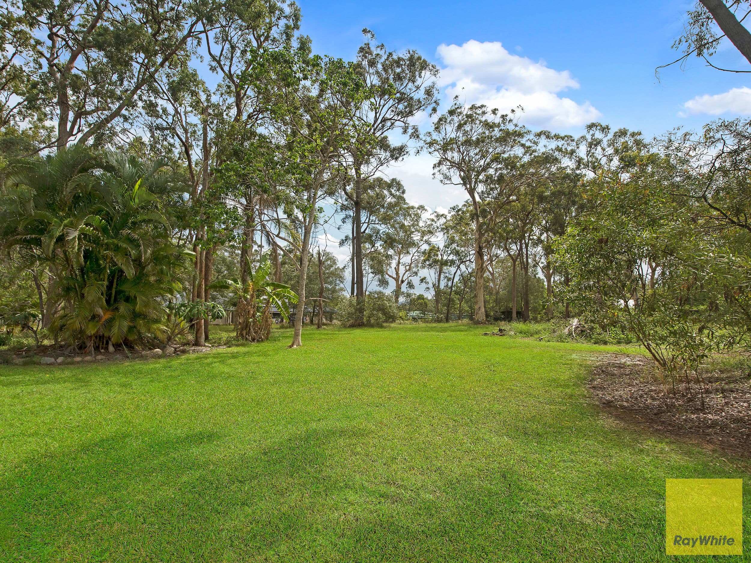 429 Oakey Flat Road, Morayfield QLD 4506, Morayfield - Thumbnail 7