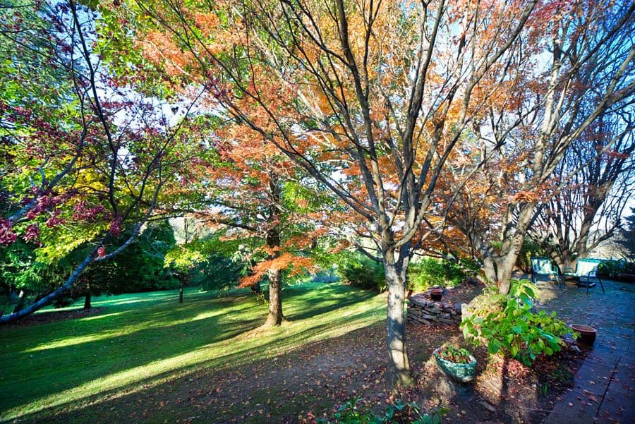 154 Clarence Road, BLACKHEATH NSW 2785, Blackheath - Thumbnail 7
