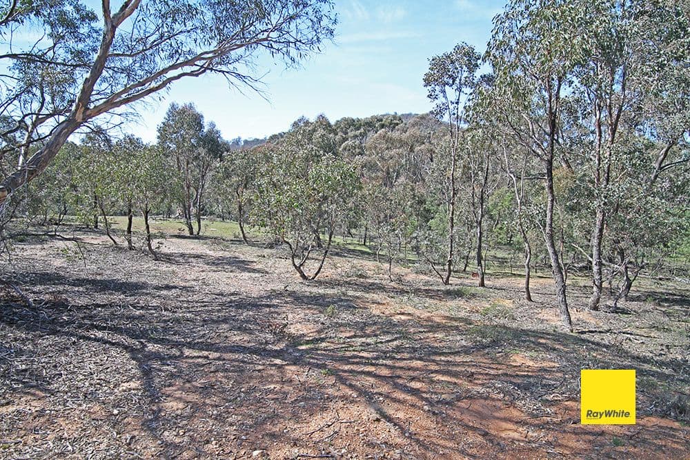 582 Neils Creek Road, Bungendore NSW 2621, Bungendore - Image 1