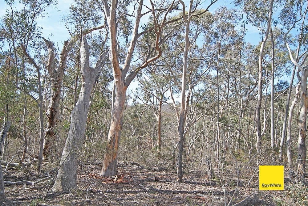 582 Neils Creek Road, Bungendore NSW 2621, Bungendore - Thumbnail 3