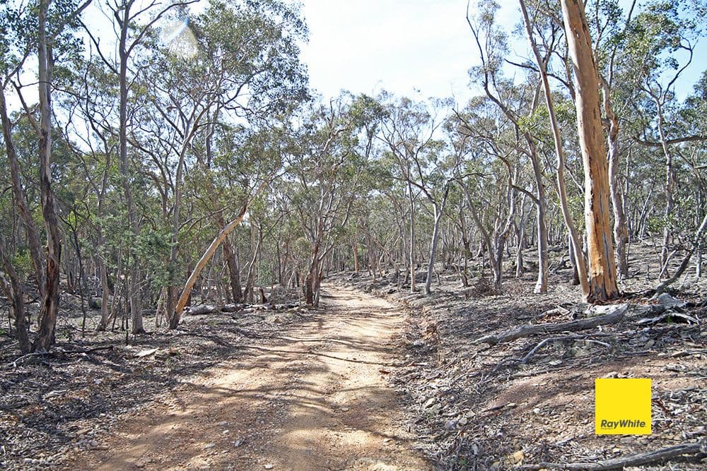 582 Neils Creek Road, Bungendore NSW 2621, Bungendore - Thumbnail 4