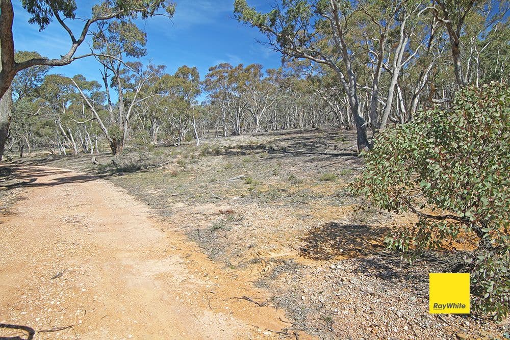 582 Neils Creek Road, Bungendore NSW 2621, Bungendore - Thumbnail 5