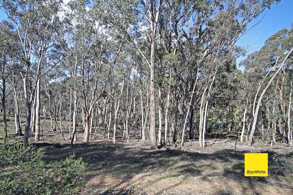 582 Neils Creek Road, Bungendore NSW 2621, Bungendore - Thumbnail 8