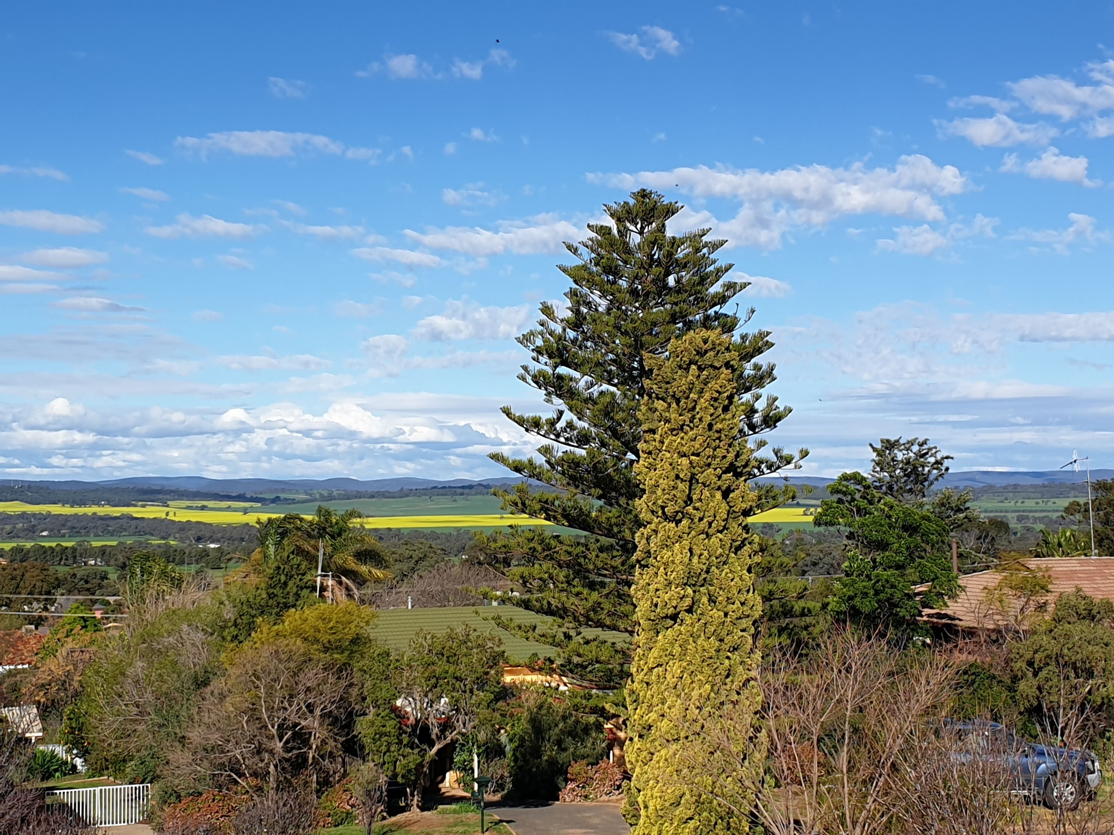22 Mengarvie Road, Parkes NSW 2870, Parkes - Thumbnail 2