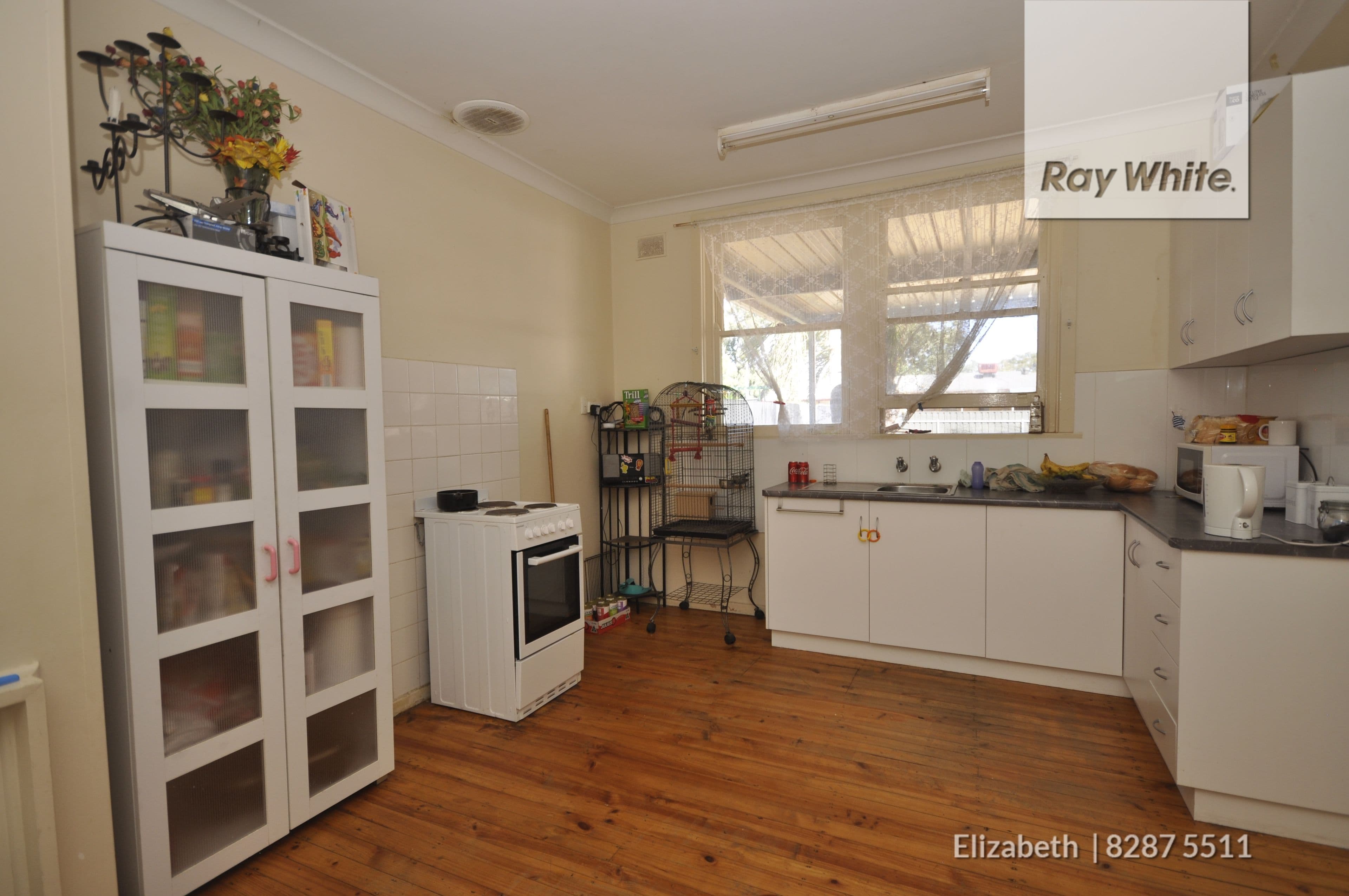 20 Wilkins Road, Elizabeth Downs SA 5113, Elizabeth Downs - Thumbnail 5