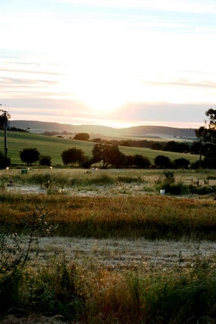 Lot 21 Auburn Road, SADDLEWORTH SA 5413, Saddleworth - Thumbnail 3