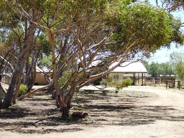7 Fertile Avenue, TWO WELLS SA 5501, Two Wells - Image 1
