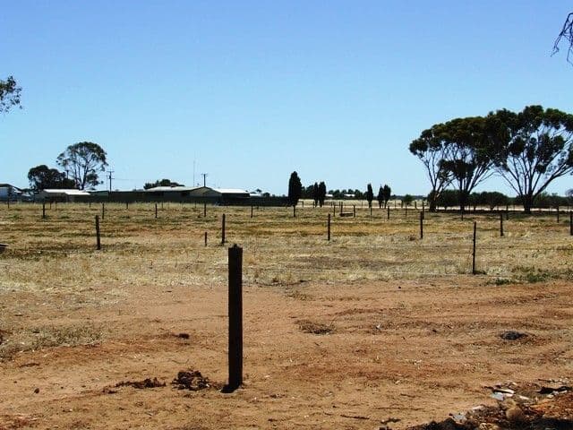 7 Fertile Avenue, TWO WELLS SA 5501, Two Wells - Thumbnail 2