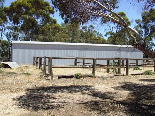 7 Fertile Avenue, TWO WELLS SA 5501, Two Wells - Thumbnail 3