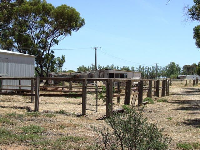 7 Fertile Avenue, TWO WELLS SA 5501, Two Wells - Thumbnail 4