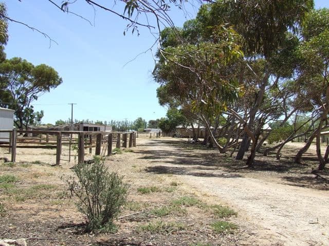 7 Fertile Avenue, TWO WELLS SA 5501, Two Wells - Thumbnail 5