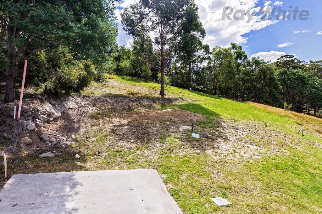 6 Woodlyn Court, South Hobart TAS 7004, South Hobart - Thumbnail 6