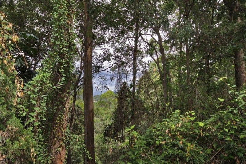11 Walcoy Place, WORONGARY QLD 4213, Worongary - Thumbnail 7