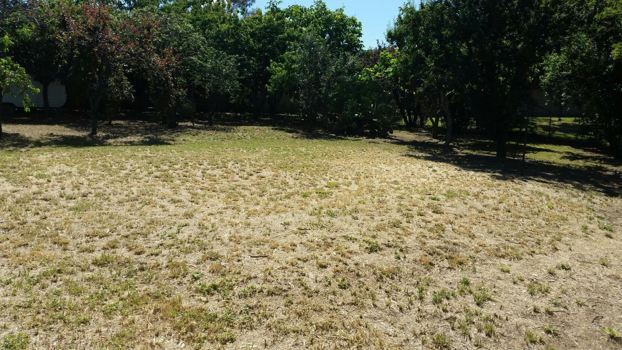 24 Mulloon Street, Queanbeyan NSW 2620, Queanbeyan East - Thumbnail 2