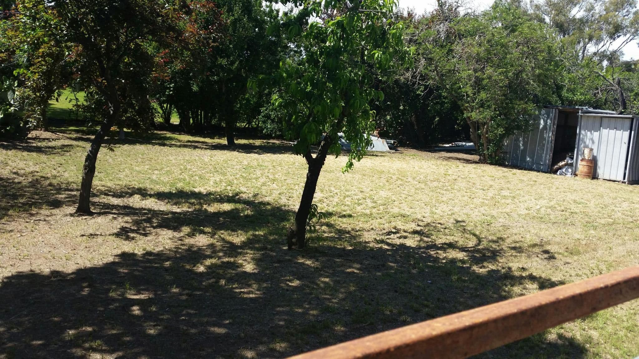 24 Mulloon Street, Queanbeyan NSW 2620, Queanbeyan East - Thumbnail 3