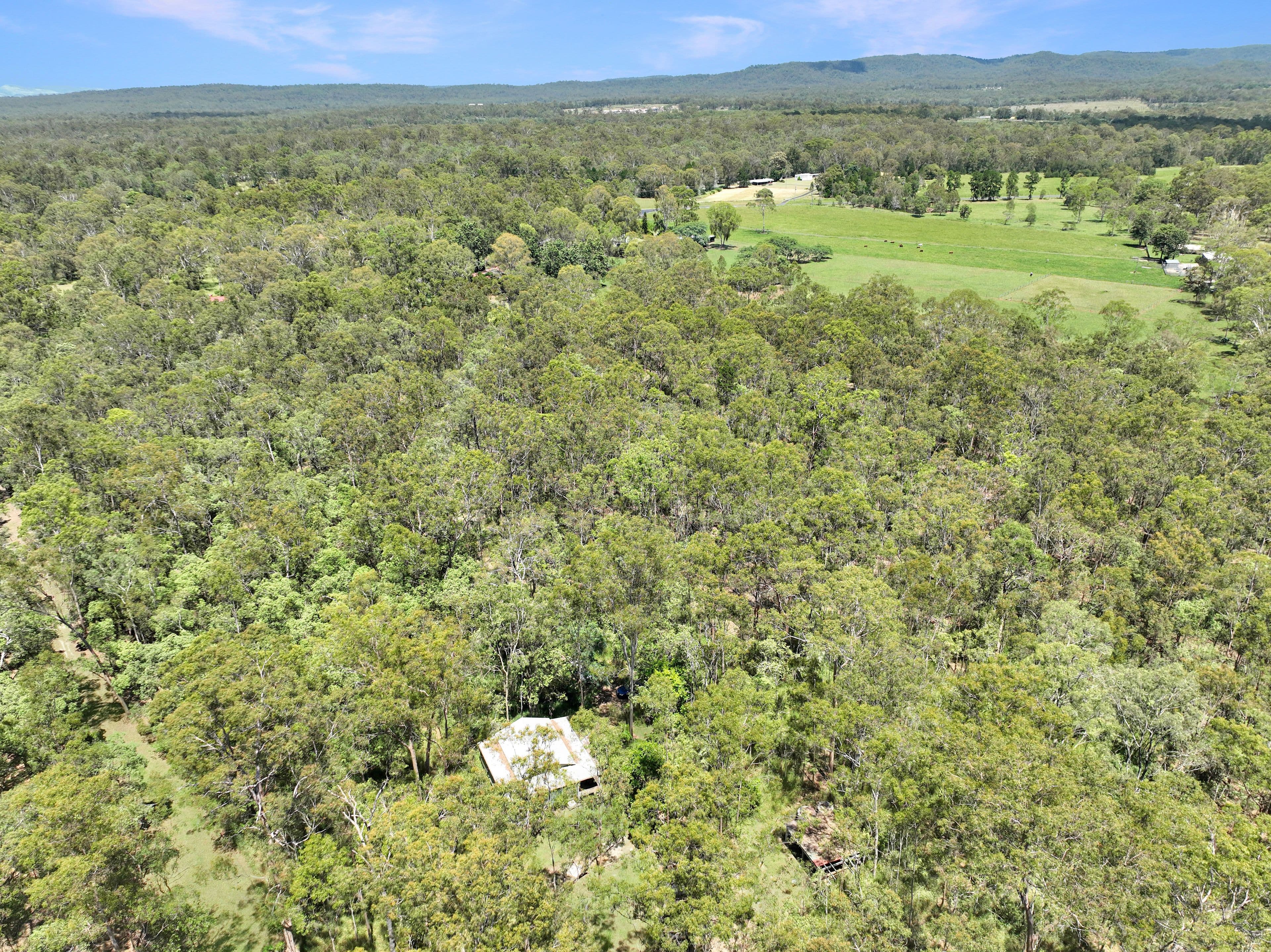 7 Kelly Road, Spring Creek QLD 4343, Spring Creek - Thumbnail 7