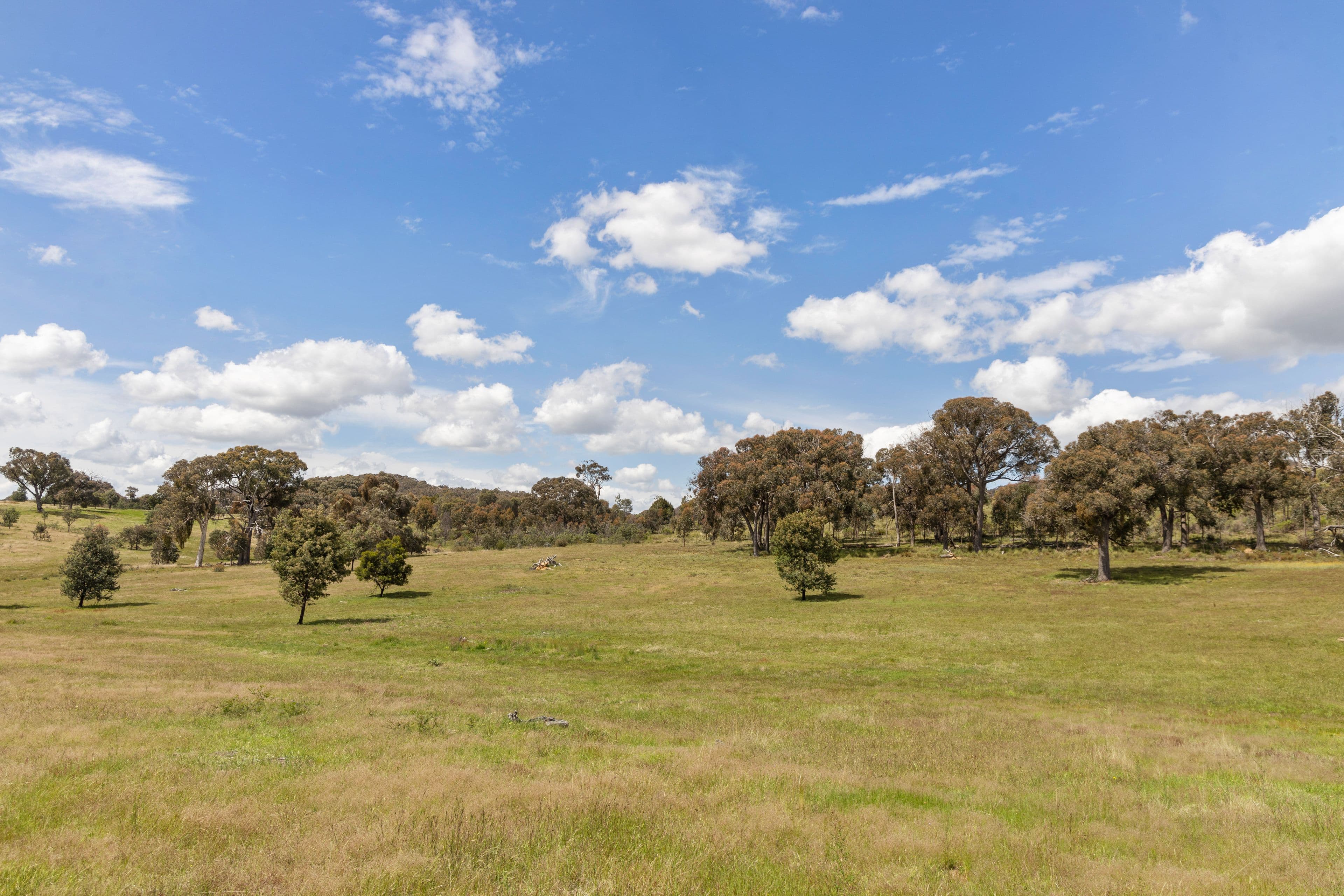 "Reardons Ridge" 10 Reardons Road, Yass NSW 2582, Yass - Image 1