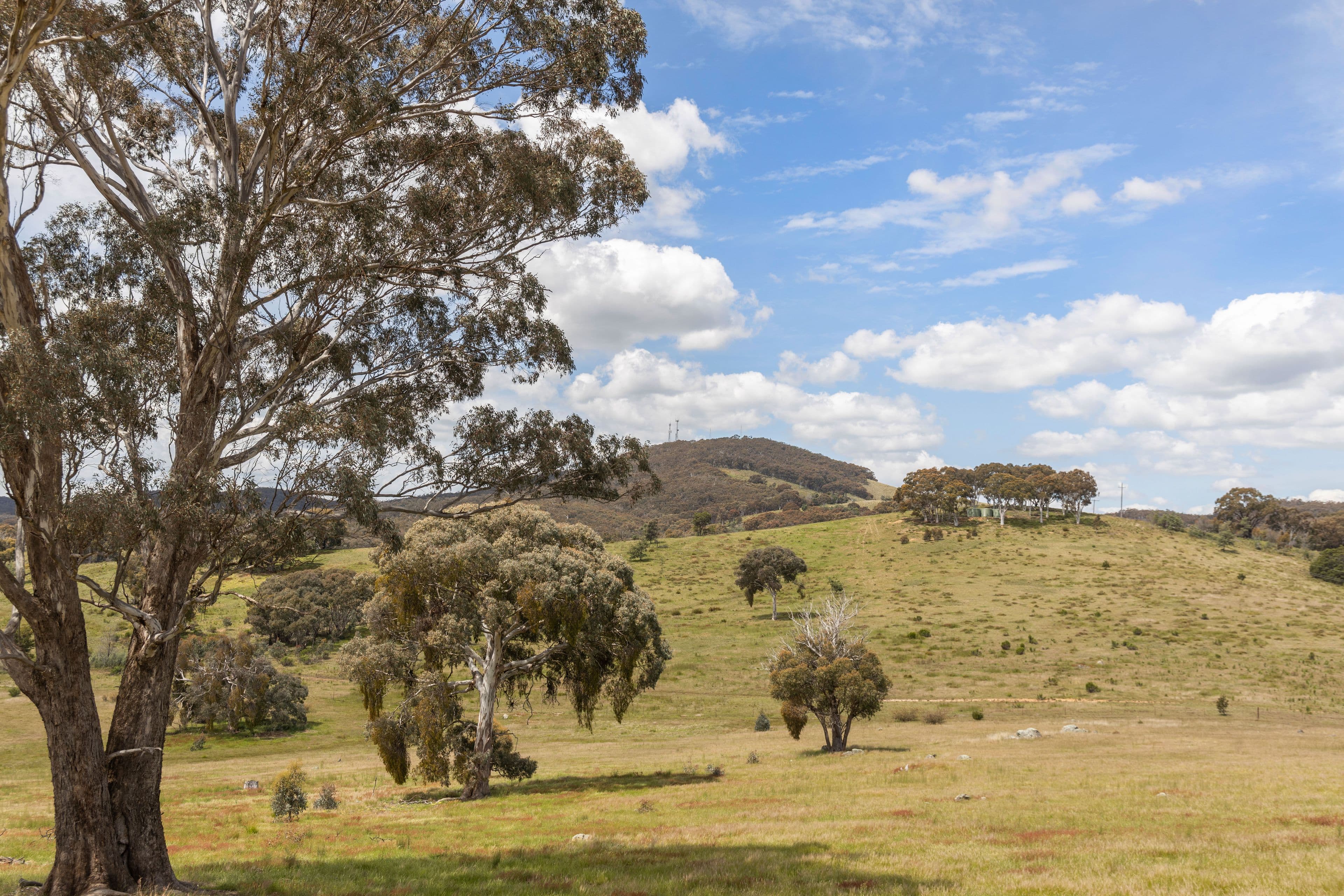 "Reardons Ridge" 10 Reardons Road, Yass NSW 2582, Yass - Thumbnail 8