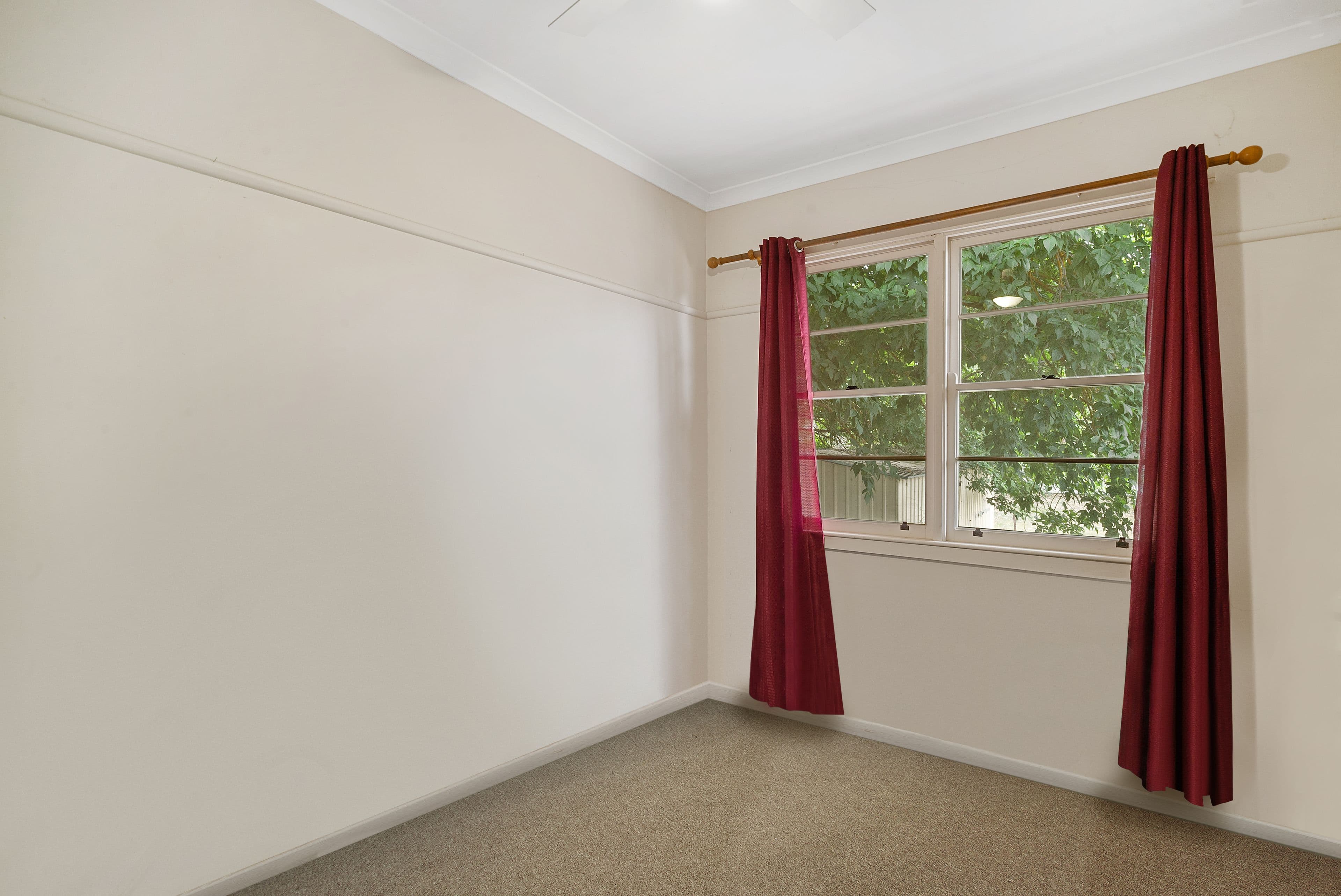 12 Daisy Street, Violet Town VIC 3669, Violet Town - Thumbnail 5