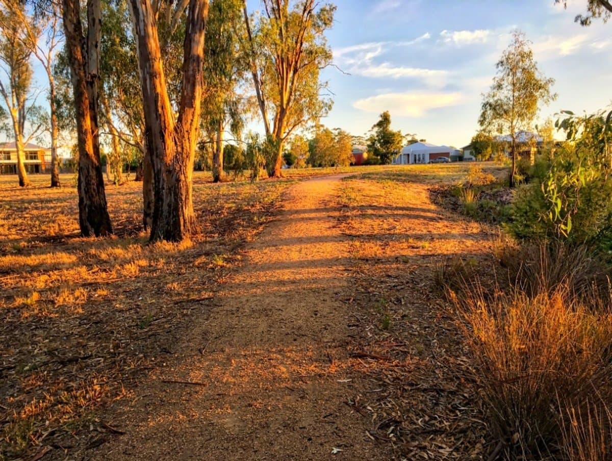 Lot 426/14 Cockatoo Crescent, Kialla, Kialla - Thumbnail 6
