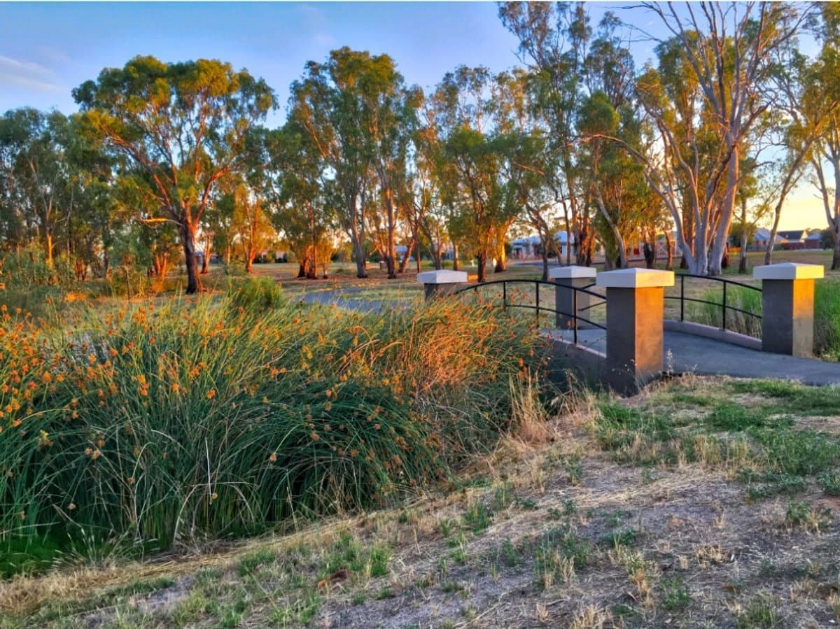 Lot 426/14 Cockatoo Crescent, Kialla, Kialla - Thumbnail 7