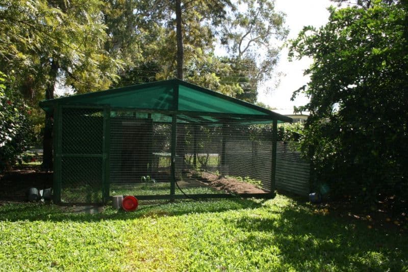 3 Theresa Court, ARMSTRONG BEACH QLD 4737, Armstrong Beach - Thumbnail 7