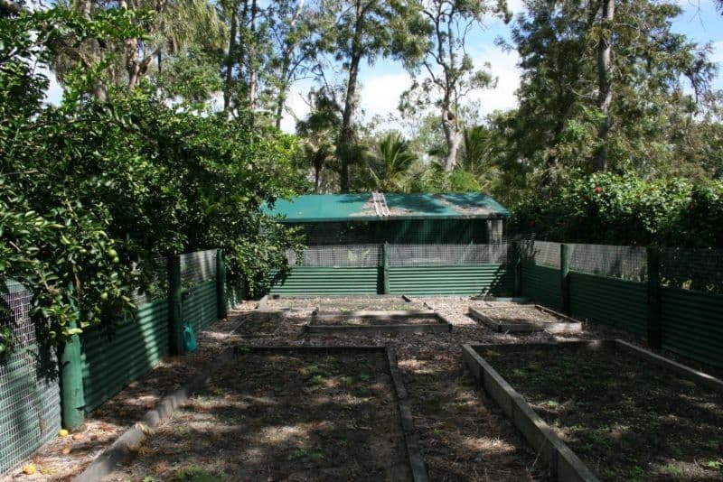 3 Theresa Court, ARMSTRONG BEACH QLD 4737, Armstrong Beach - Thumbnail 8