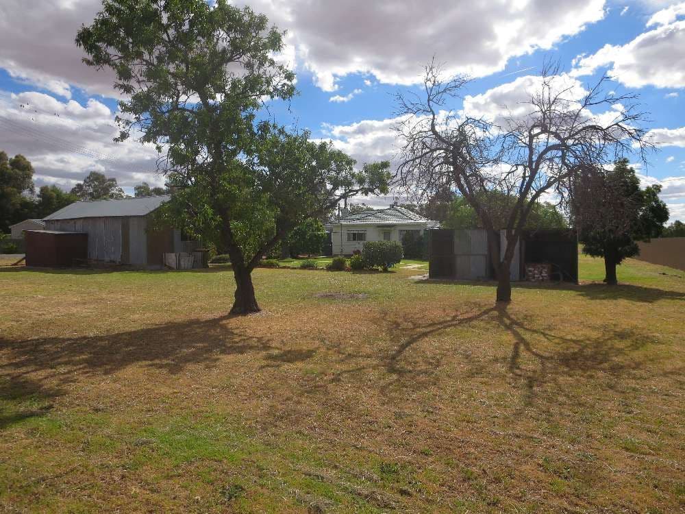 66 Munro Street, Culcairn NSW 2660, Culcairn - Thumbnail 4