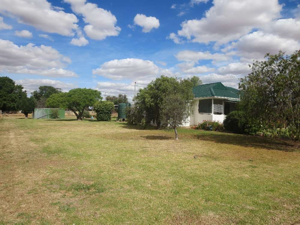 66 Munro Street, Culcairn NSW 2660, Culcairn - Thumbnail 8