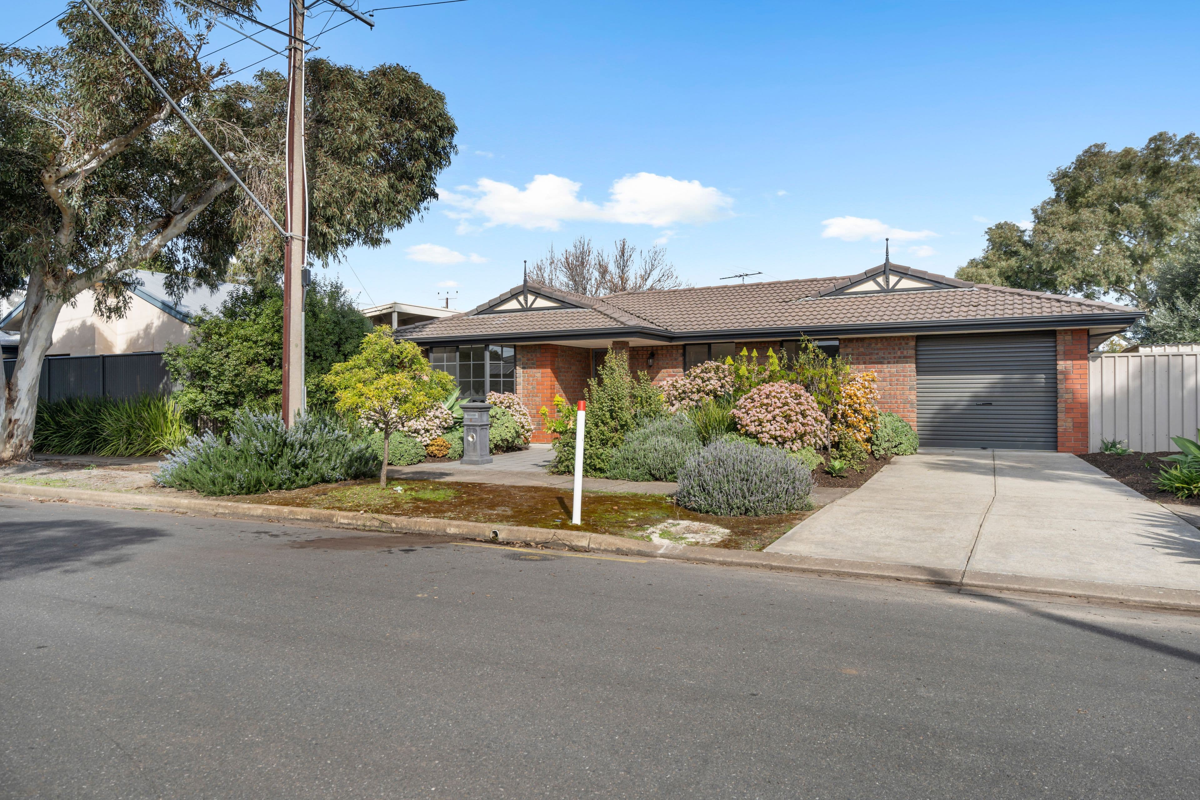 6 Caleb Street, Marden SA 5070, Marden - Image 1